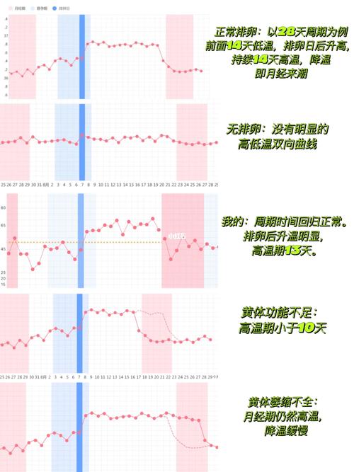 基础体温监测