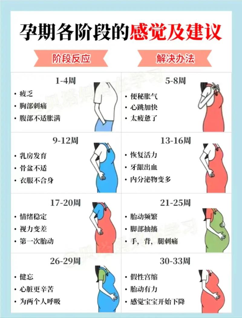 怀孕反应时间