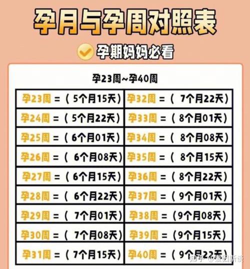 试管婴儿最佳时机