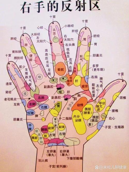 手诊