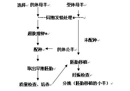  胚胎培养

----------
【文章正文】：
<!DOCTYPE html>
<html lang