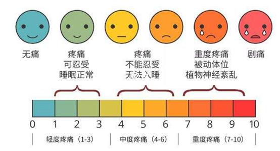 疼痛评估