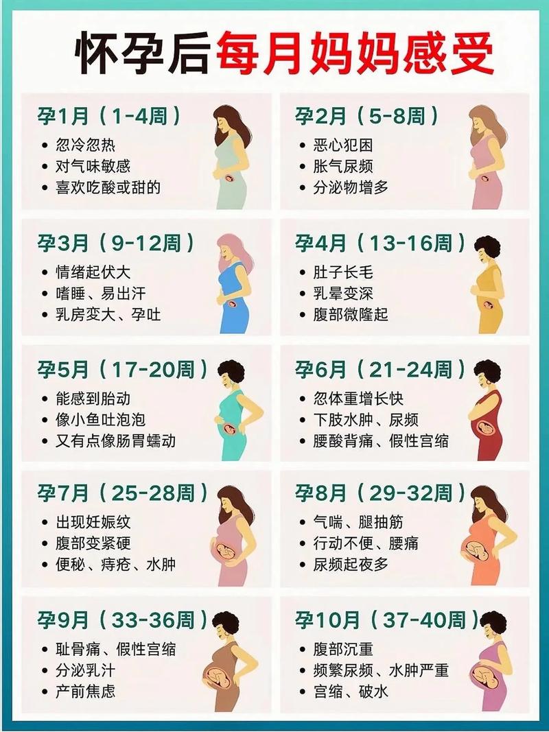 怀孕历程