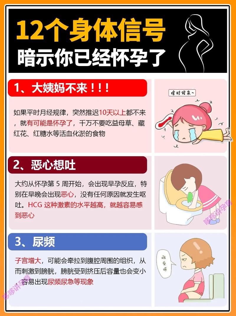  妊娠信号