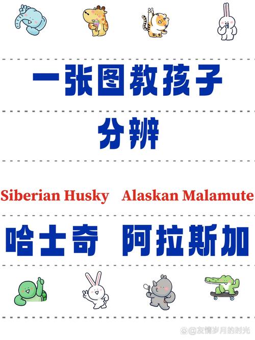 分辨