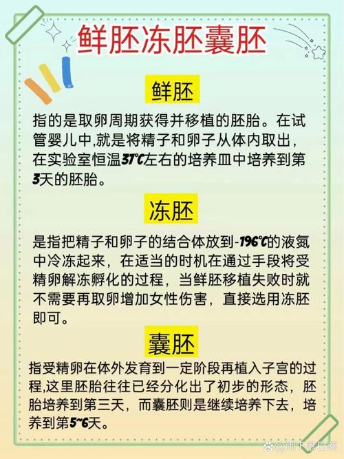 试管婴儿技术中冷冻的是囊胚还是卵子？