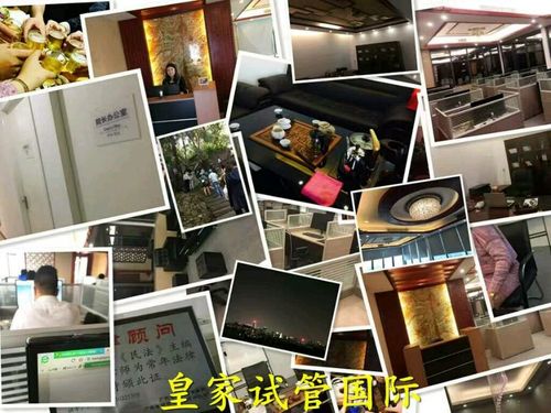  皇家试管国际