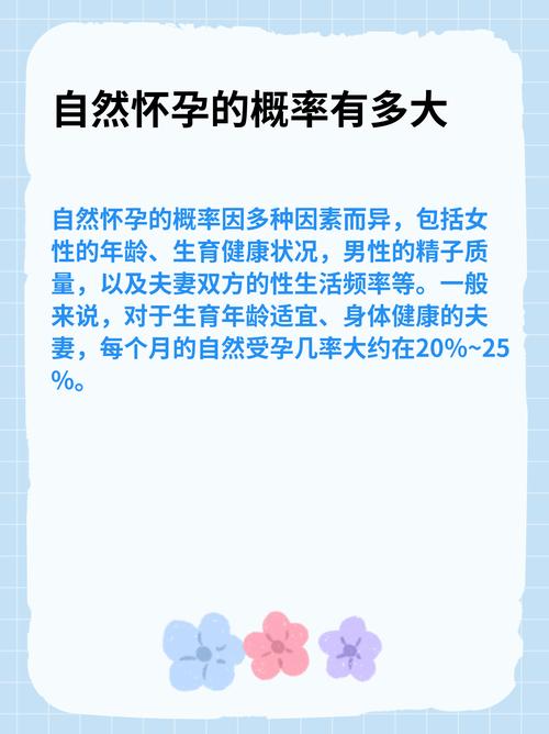 自然怀孕概率