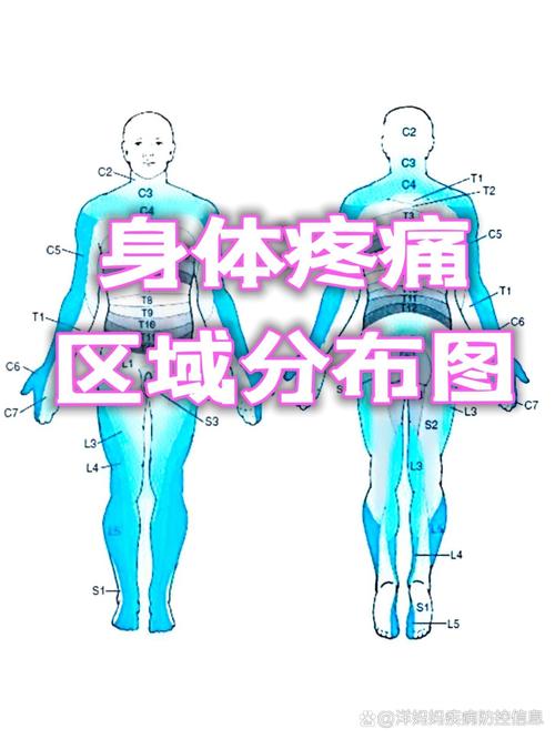 疼痛来源