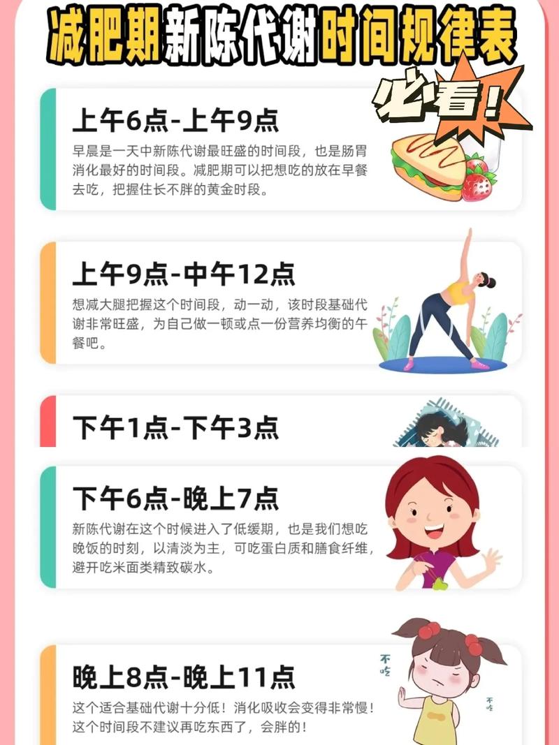 代谢时间