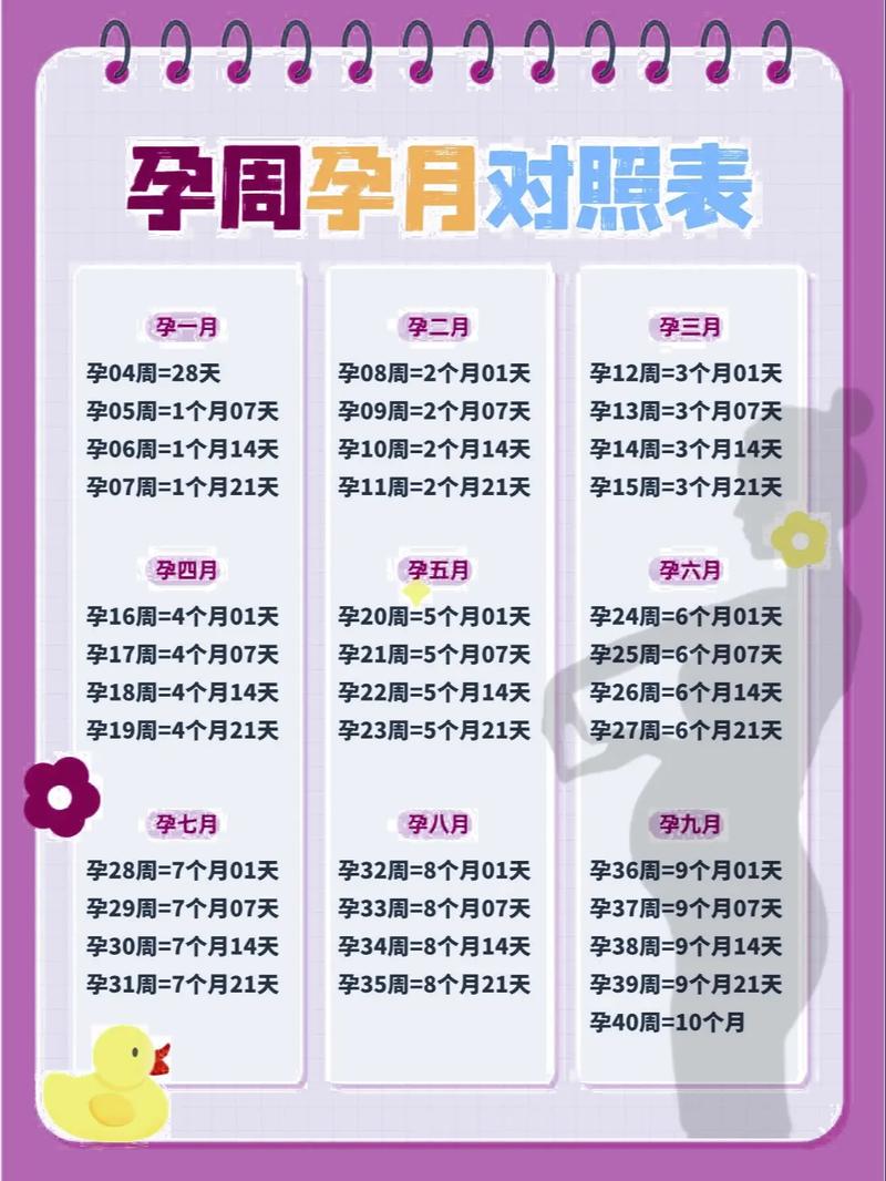 怀孕时间计算
