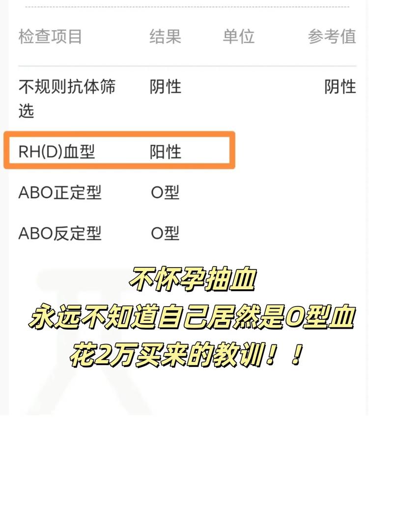 O 型血