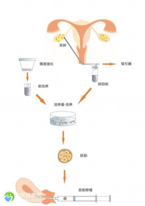  复苏自然周期