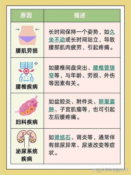 女性身体状况