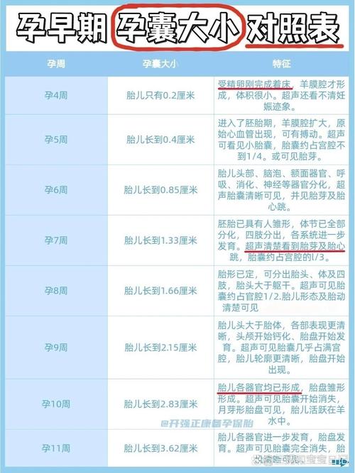 胚囊大小