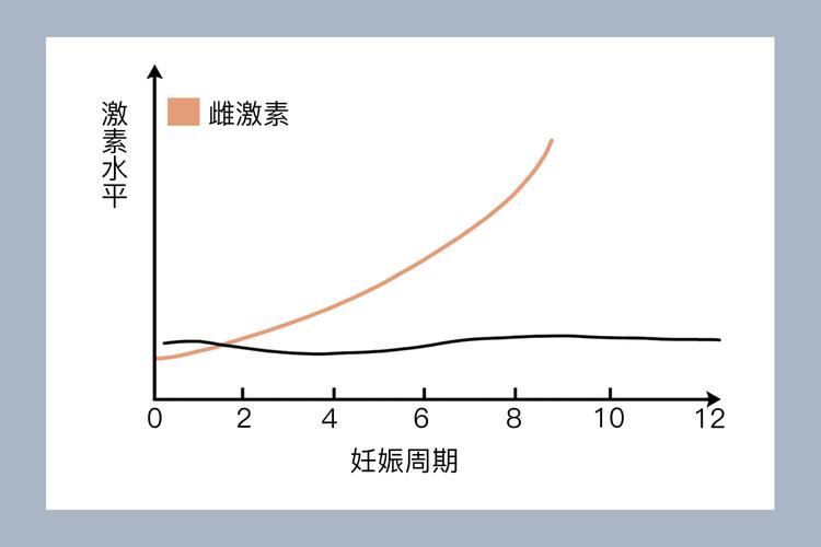 雌激素变化