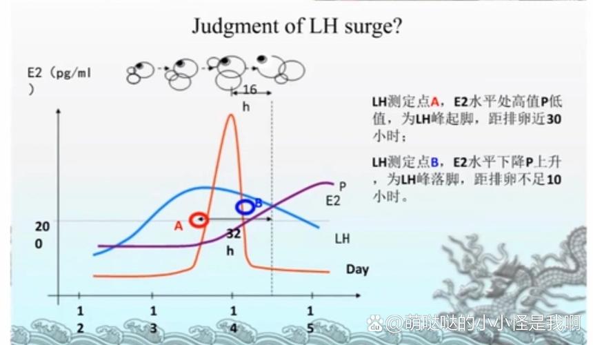 LH峰