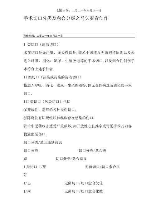 手术性质