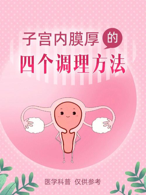 子宫内膜调理