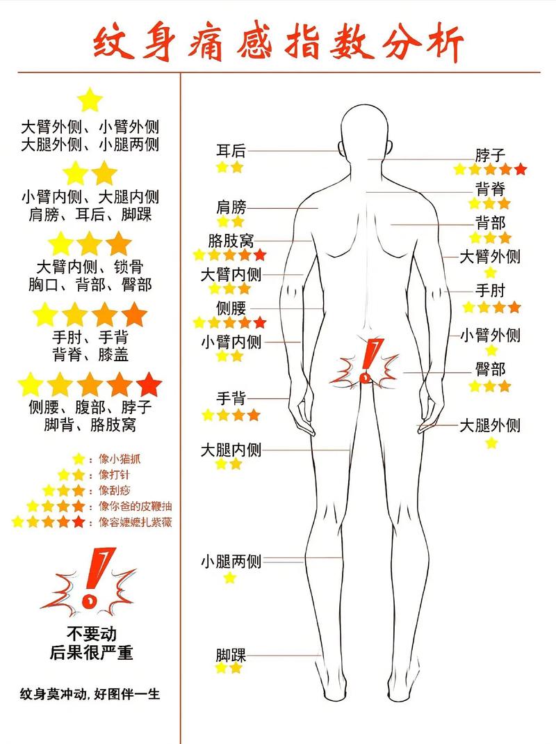 疼痛解析