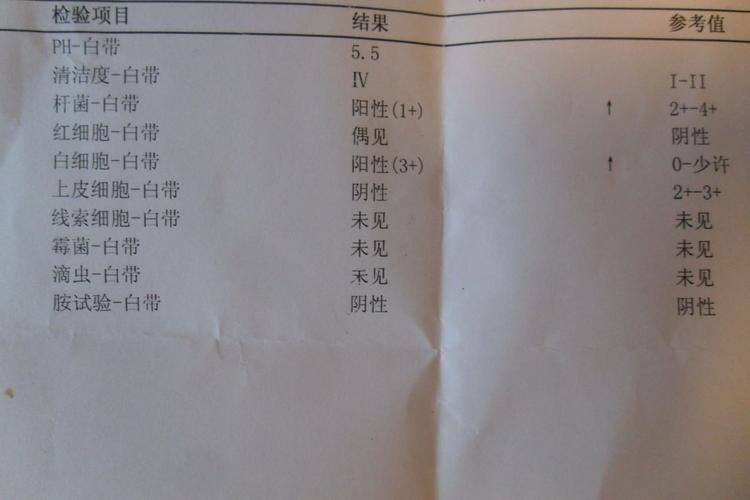 白带报告单