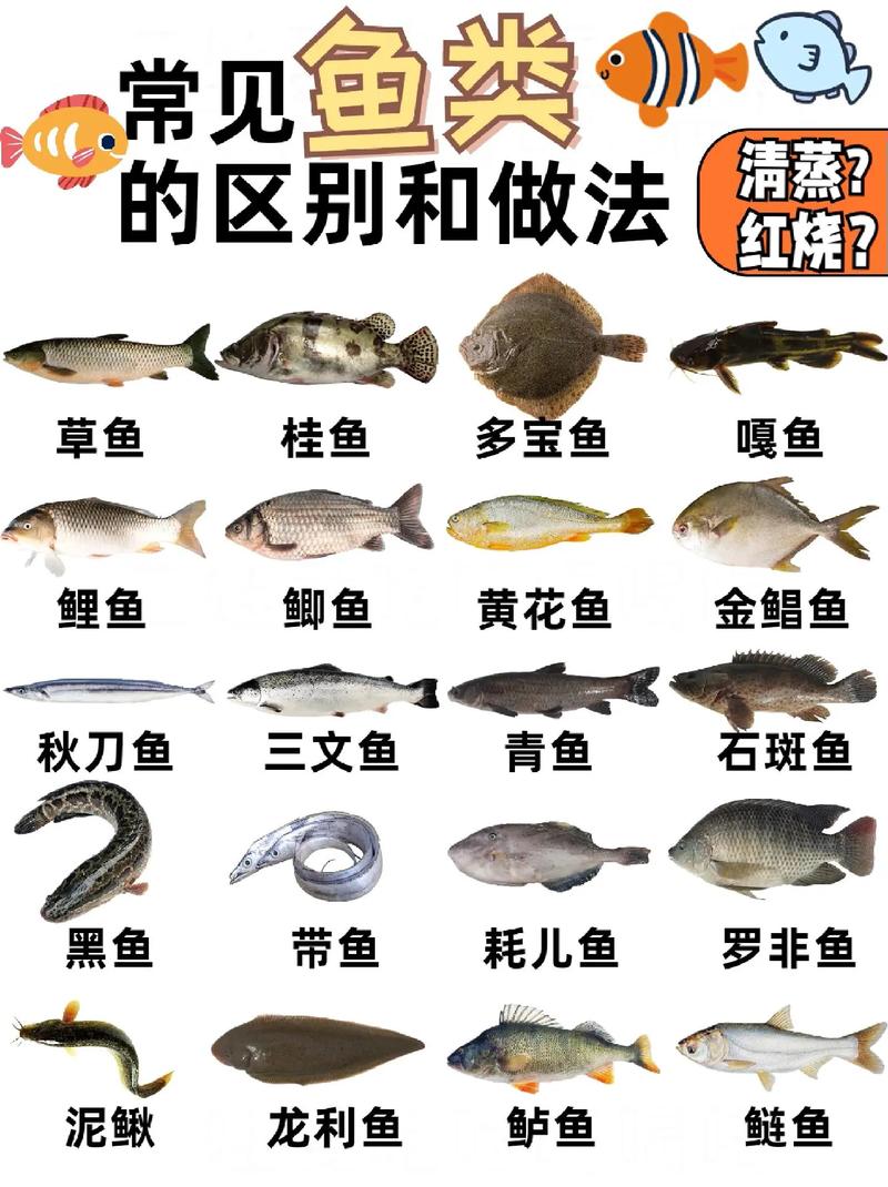 鱼类选择
