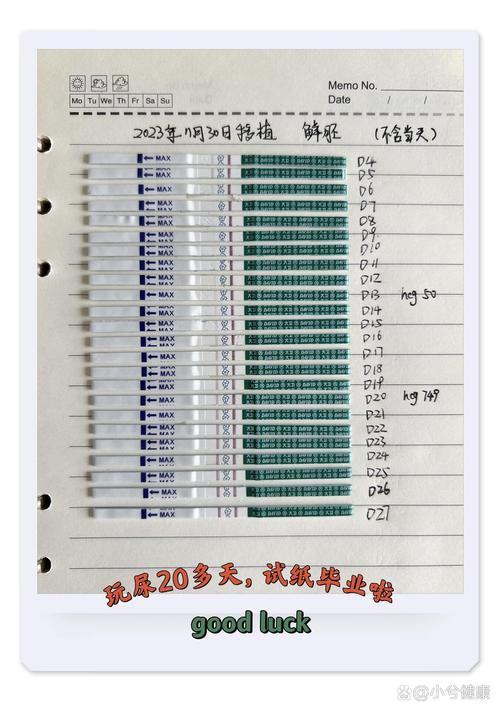 纤胚移植