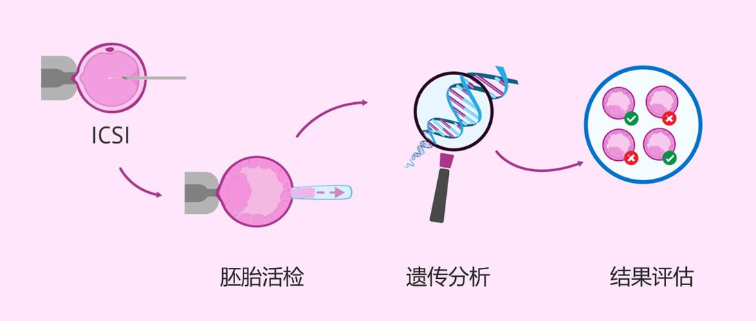 胚胎过筛技术