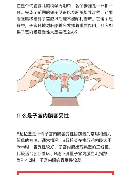试管婴儿、移植成功、胚胎质量、子宫内膜容受性、心理状态
