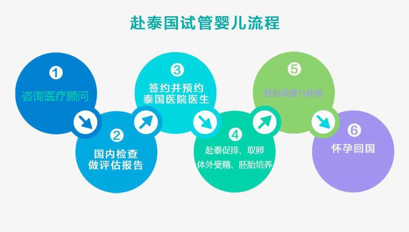  试管婴儿治疗

----------
<h1>独自前往泰国进行试管婴儿治疗的全攻略</h1>

<p>随着科技的发展和生活水平的提高，越来越多的人选择出国进行试管婴儿治疗，而泰国因其先进的医疗技术和相对较低的价格成为了许多人的首选。本篇文章就将为那些打算独自前往泰国进行试管婴儿治疗的朋友们提供一个详细的攻略。</p>

<h2>为什么选择泰国进行试管婴儿治疗</h2>

<p>泰国在生殖医学领域拥有较高的声誉，根据泰国卫生部的数据显示，泰国的试管婴儿成功率在全球范围内处于领先地位，平均成功率约为<b>6