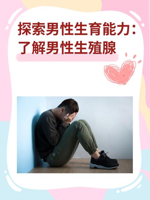 男性生育能力