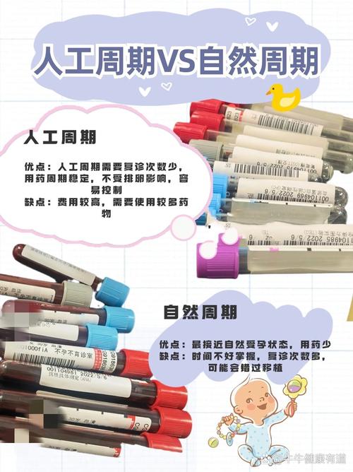  自然周期试管