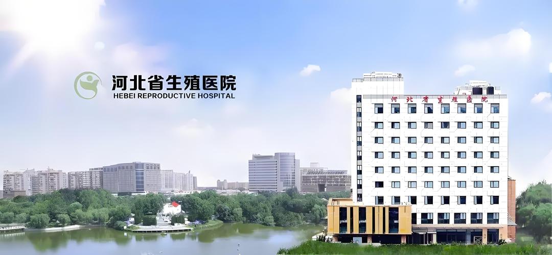 河北三代试管婴儿医院