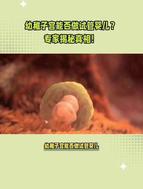 试管婴儿移植最大年龄揭秘：哪些因素影响成功率？