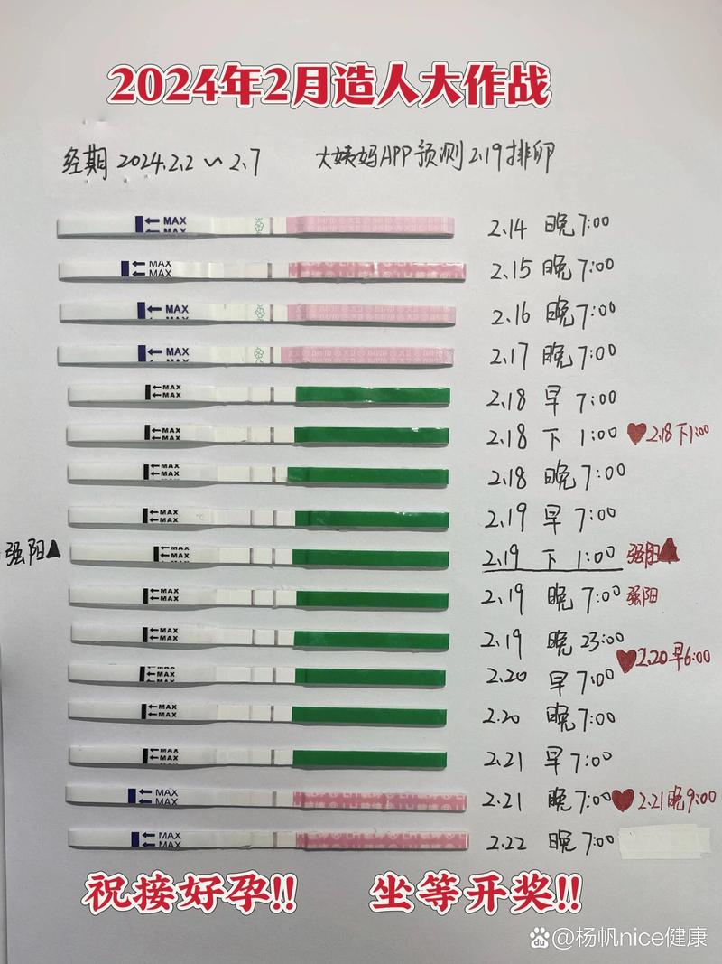家用排卵试纸