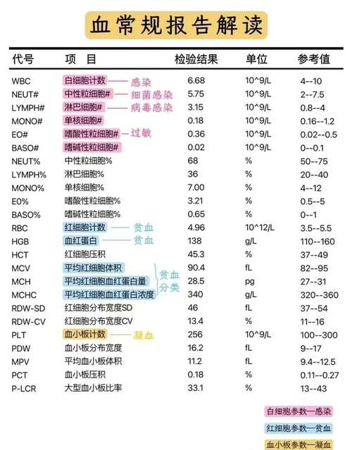 血值正常
