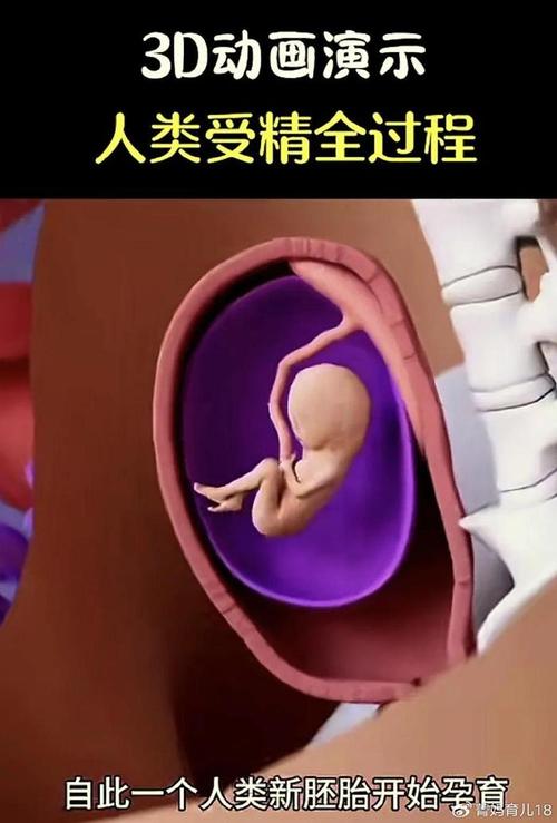胚胎偷换