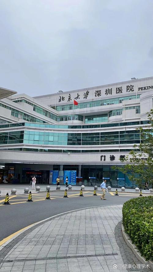  深圳北大
