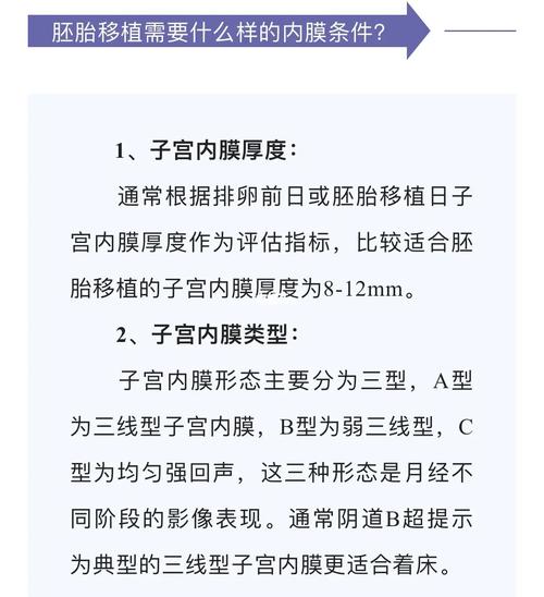  内膜条件