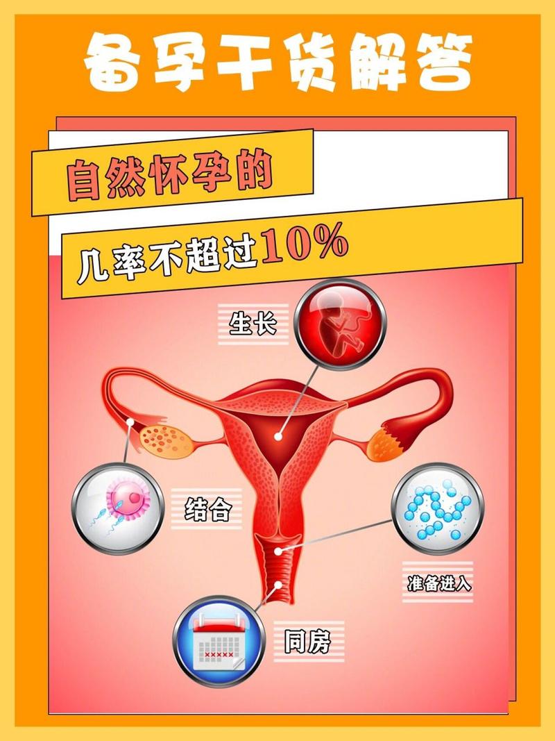 女性自然怀孕