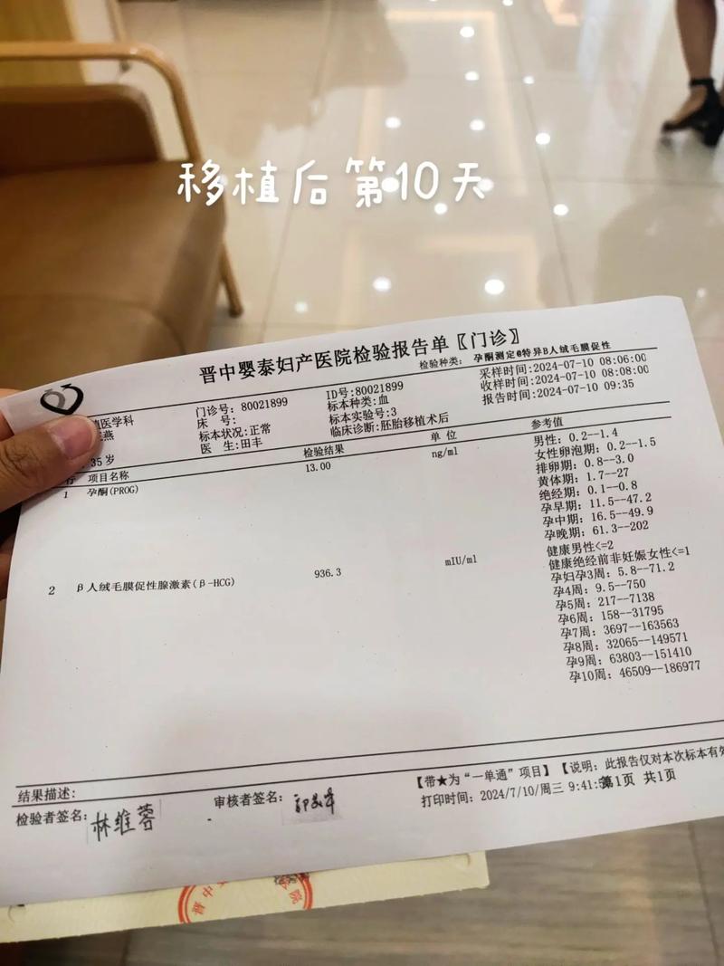 移植结果
