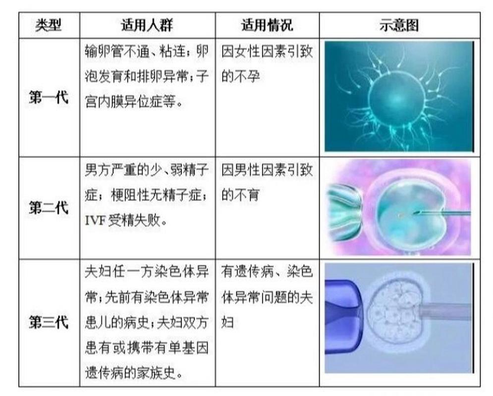 试管婴儿技术比较