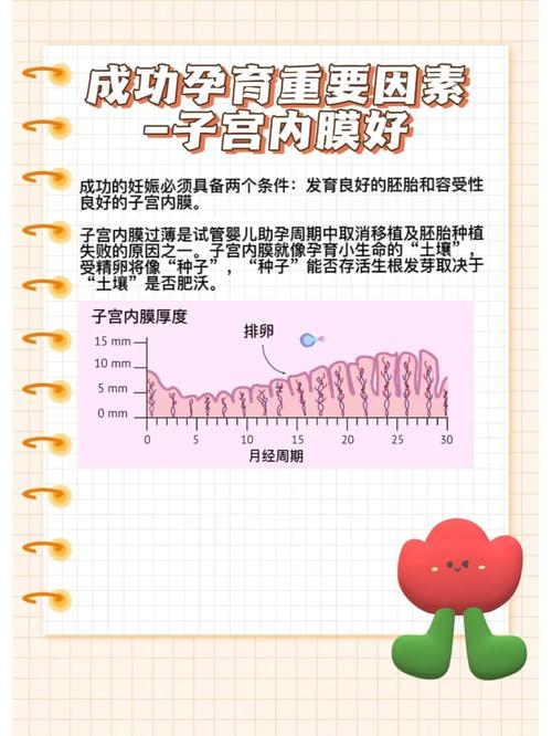 改善内膜条件