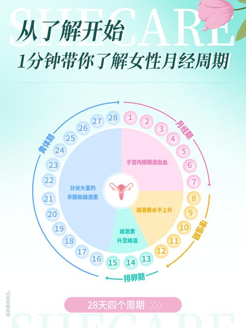  调整月经周期