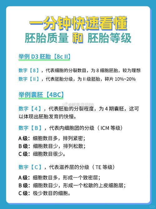 如何判断试管婴儿胚胎质量好？五个关键指标