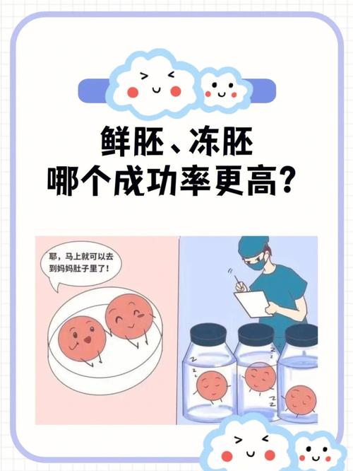试管婴儿、冻胚移植、发热原因、应对方法