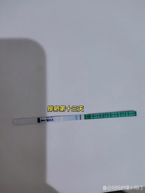 十二天检测