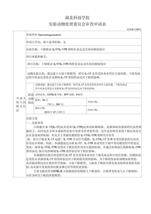 伦理审查