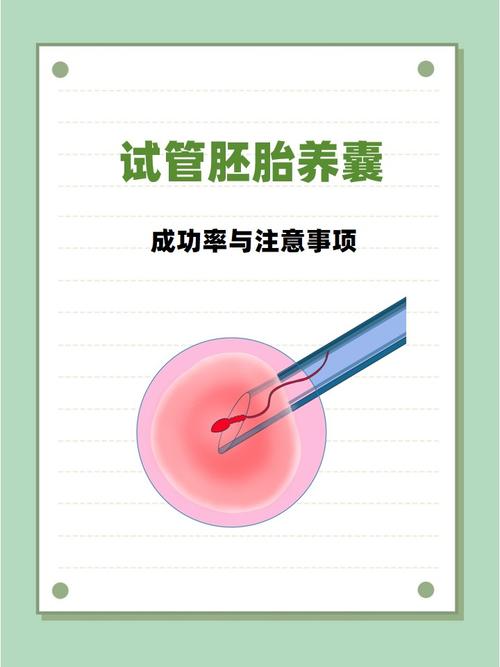 胚胎养护