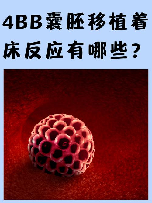试管婴儿囊胚4BB移植一个，有几率出现双胞胎吗？
